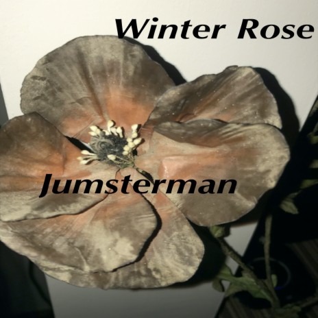 Winter Rose