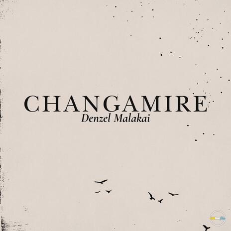 Changamire | Boomplay Music