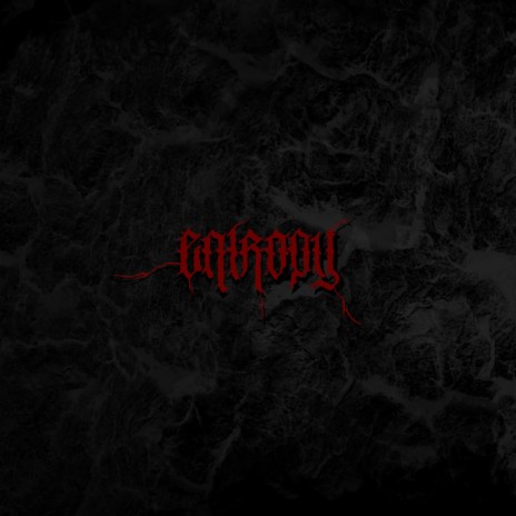 ENTROPY | Boomplay Music