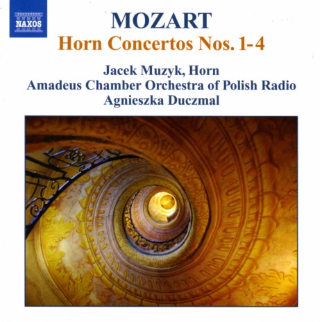 Horn Concerto No. 1 in D Major, K. 412: I. Allegro | Boomplay Music