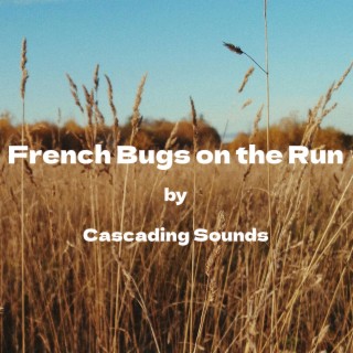 French Bugs on the Run, Pt. 2