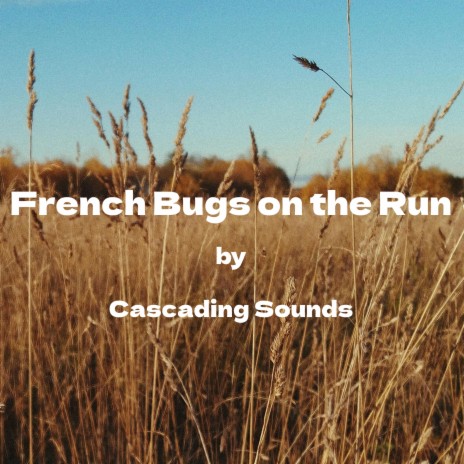Breton Beetle Ballad | Boomplay Music