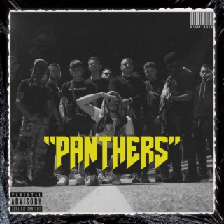 Panthers