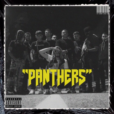 Panthers | Boomplay Music