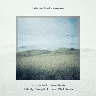 Extravertical (Remixes)