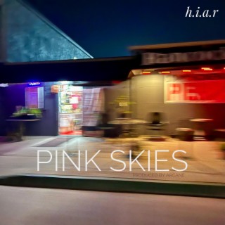 Pink Skies lyrics | Boomplay Music