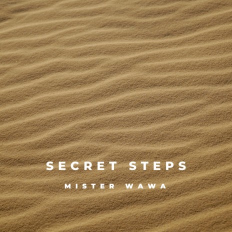 Secret Steps ft. Dedrey & Startoné