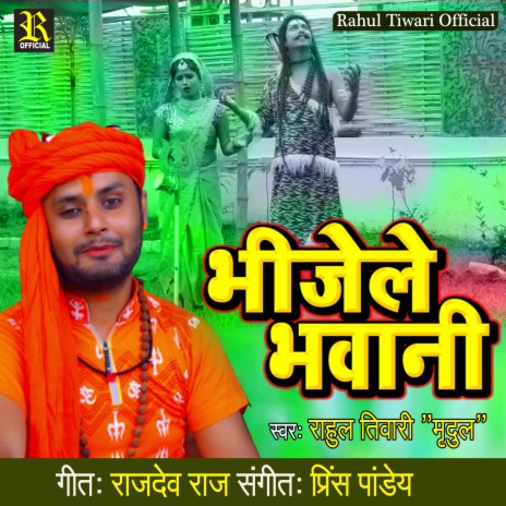 Bhijeli Bhawani | Boomplay Music