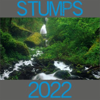 Stumps 2022