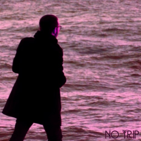 No Trip | Boomplay Music