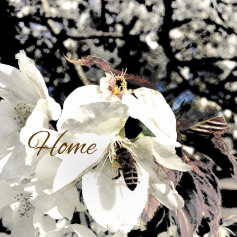 Home ft. Earl St. John | Boomplay Music