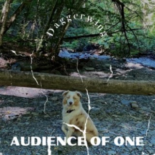 Audience Of One