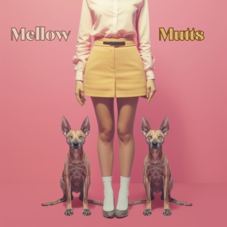 Midday Muse ft. Pets & Dog Music TA