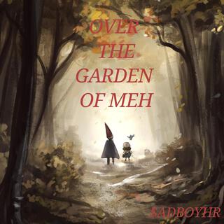 Over the garden of meh