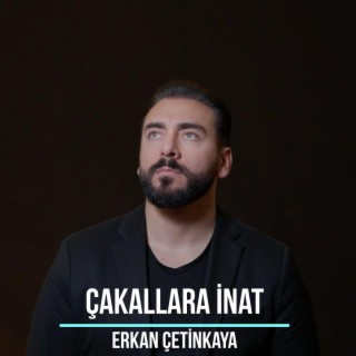 Çakallara İnat