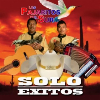 Solo Exitos