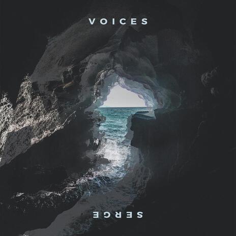 Voices | Boomplay Music