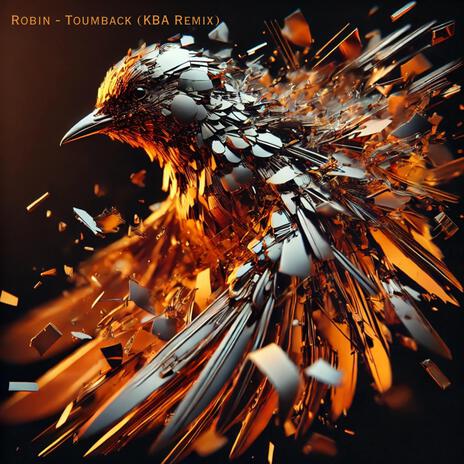 Toumback (KBA Remix) ft. Robin Cavaillès | Boomplay Music