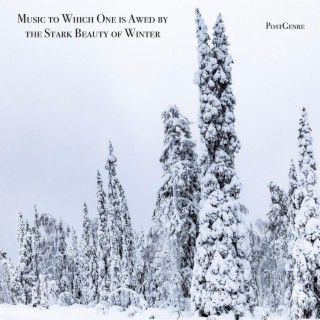 Music to Which One is Awed by the Stark Beauty of Winter