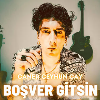 Boşver Gitsin