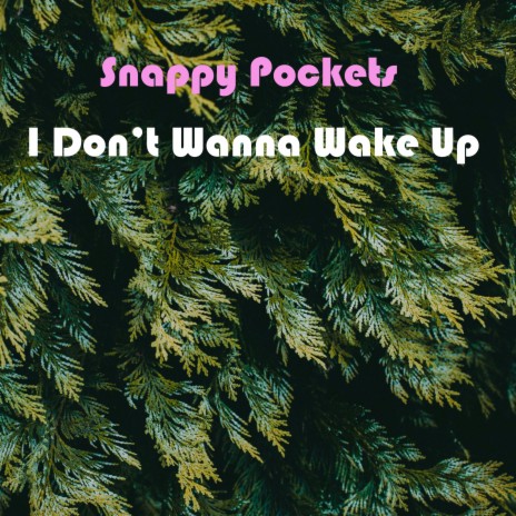 I Don't Wanna Wake Up