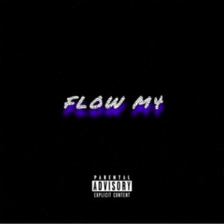 Flow M4