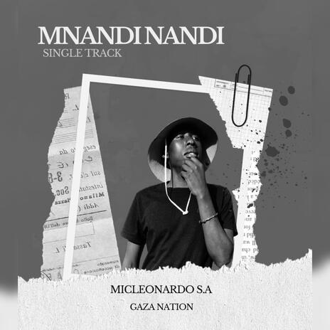 Mnandinandi ft. Micleonardo S.A | Boomplay Music