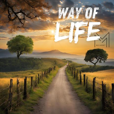 Way of Life | Boomplay Music