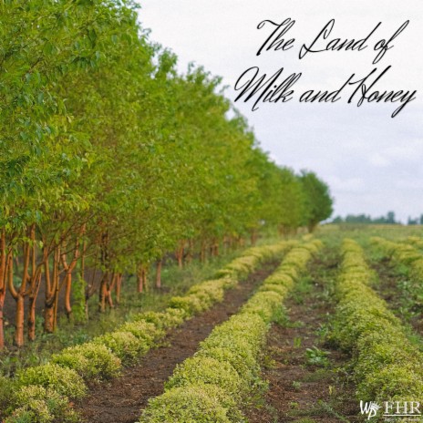 The land of Milk and Honey | Boomplay Music