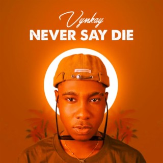 Never Say Die lyrics | Boomplay Music
