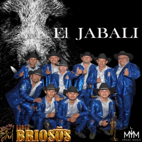 La Chiquita Del Jaripeo | Boomplay Music