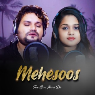 Mehesoos