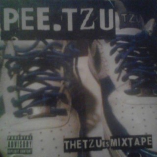 The TZUes Mixtape