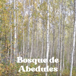 Bosque de Abedules