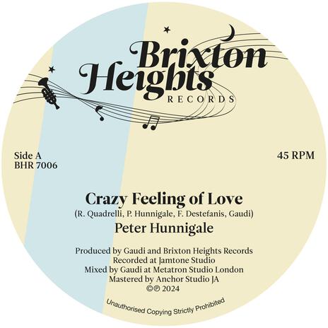 Crazy Feeling of Love ft. Brixton Heights All Stars | Boomplay Music