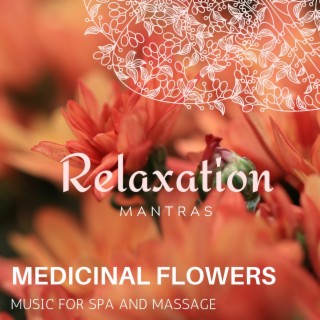 Medicinal Flowers - Music for Spa and Massage