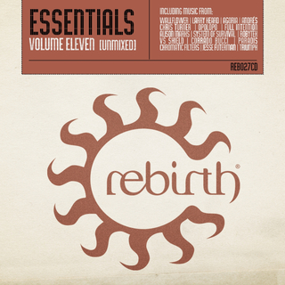 Rebirth Essentials, Vol. 11