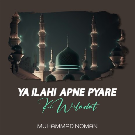 Ya Ilahi Apne Pyare Ki Wiladat | Boomplay Music