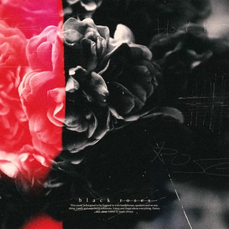 Black Roses | Boomplay Music