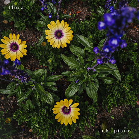 Flora | Boomplay Music