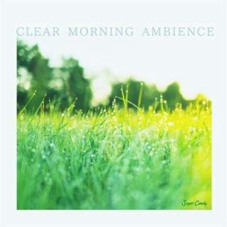 CLEAR MORNING AMBIENCE