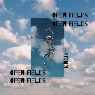Open Feilds