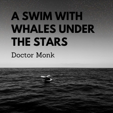 A Swim With Whales Under the Stars | Boomplay Music