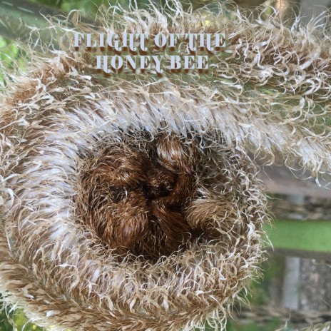 Flight of the Honey Bee | Boomplay Music