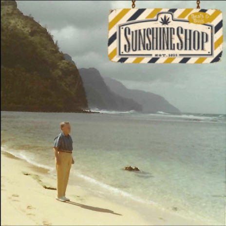 The Sunshine Shop ft. Jahndi Anres | Boomplay Music