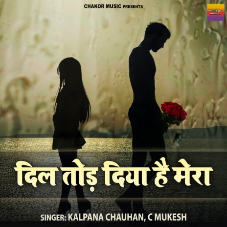 Dil Tod Diya Hai Mera | Boomplay Music