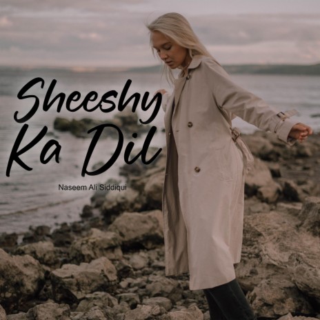 Sheeshy Ka Dil Tumhara | Boomplay Music