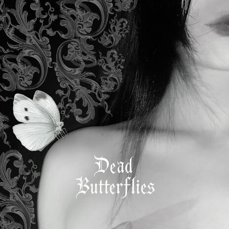 dead butterflies