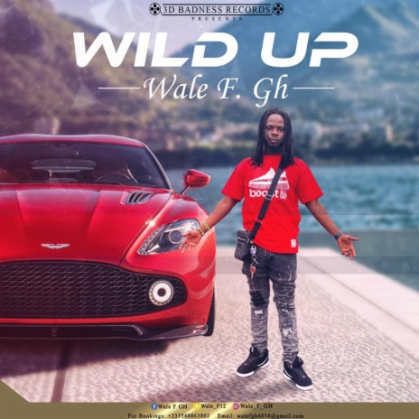 Wild Up | Boomplay Music