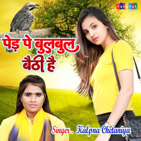 Ped Pe Bulbul Baithi Hai | Boomplay Music